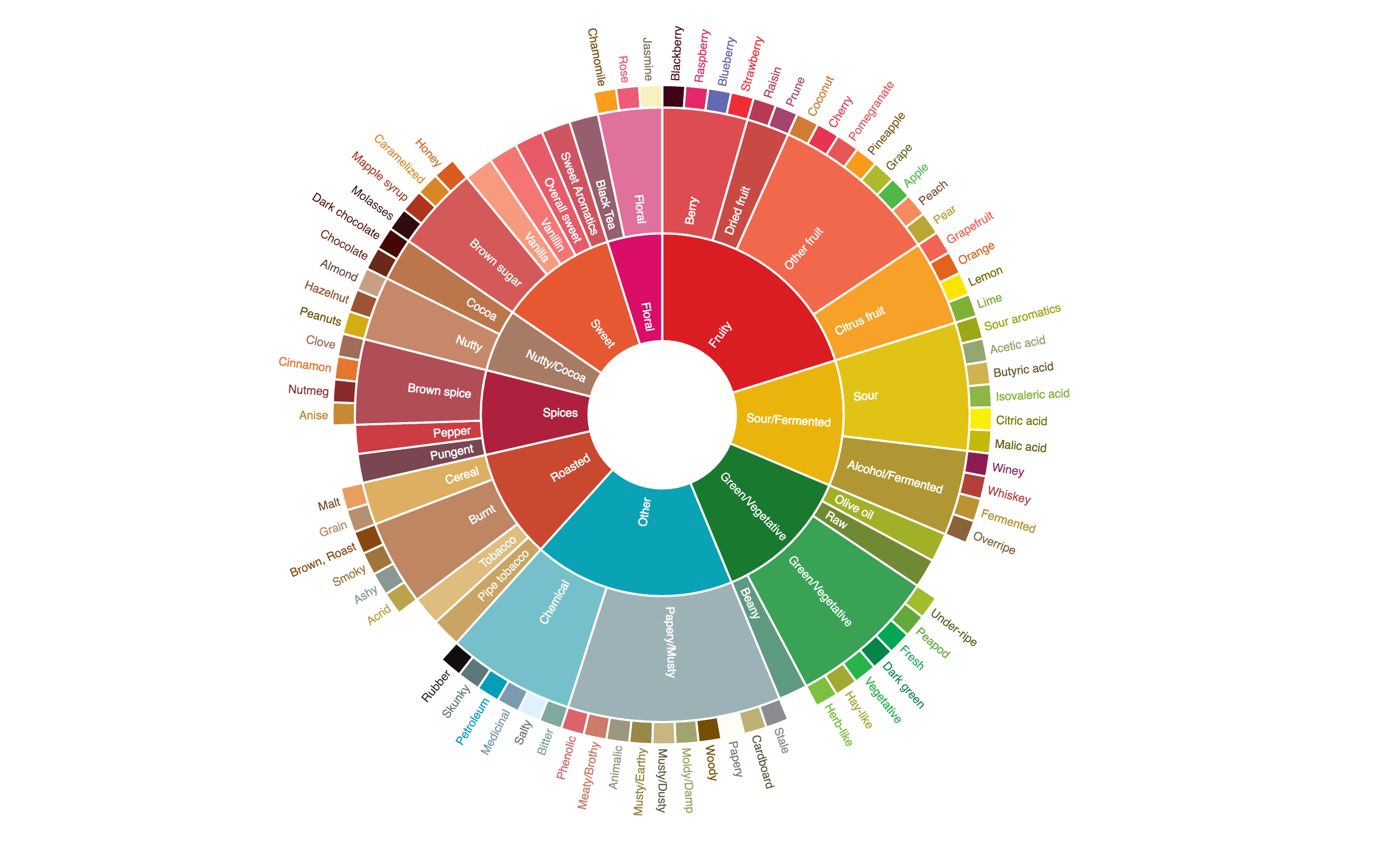 Interactive Coffee Taster's Flavor Wheel