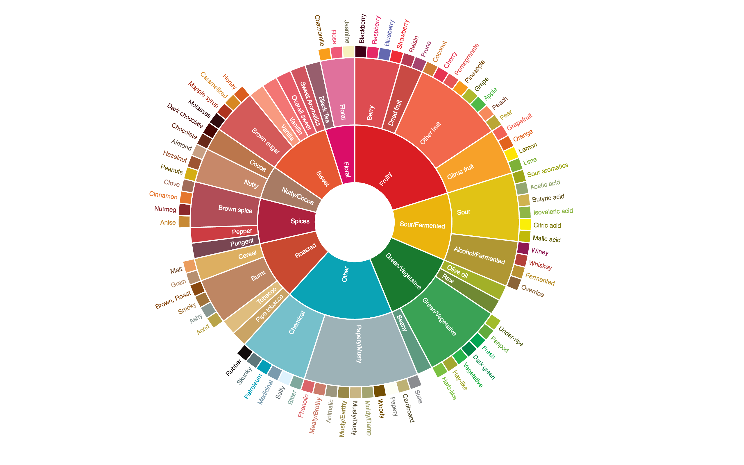 Printable Coffee Flavor Wheel