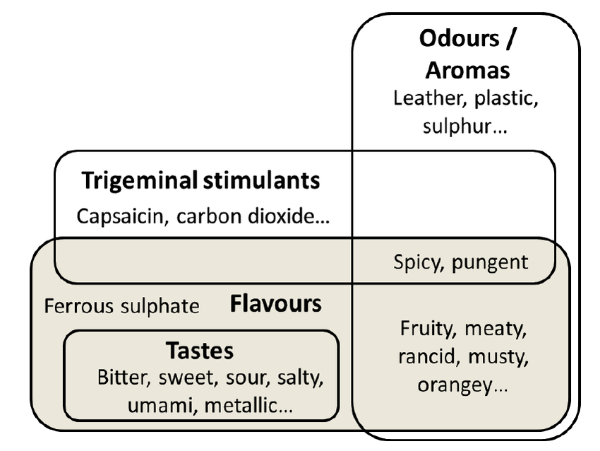 Taste, flavour, trigeminal, and odours descriptors.